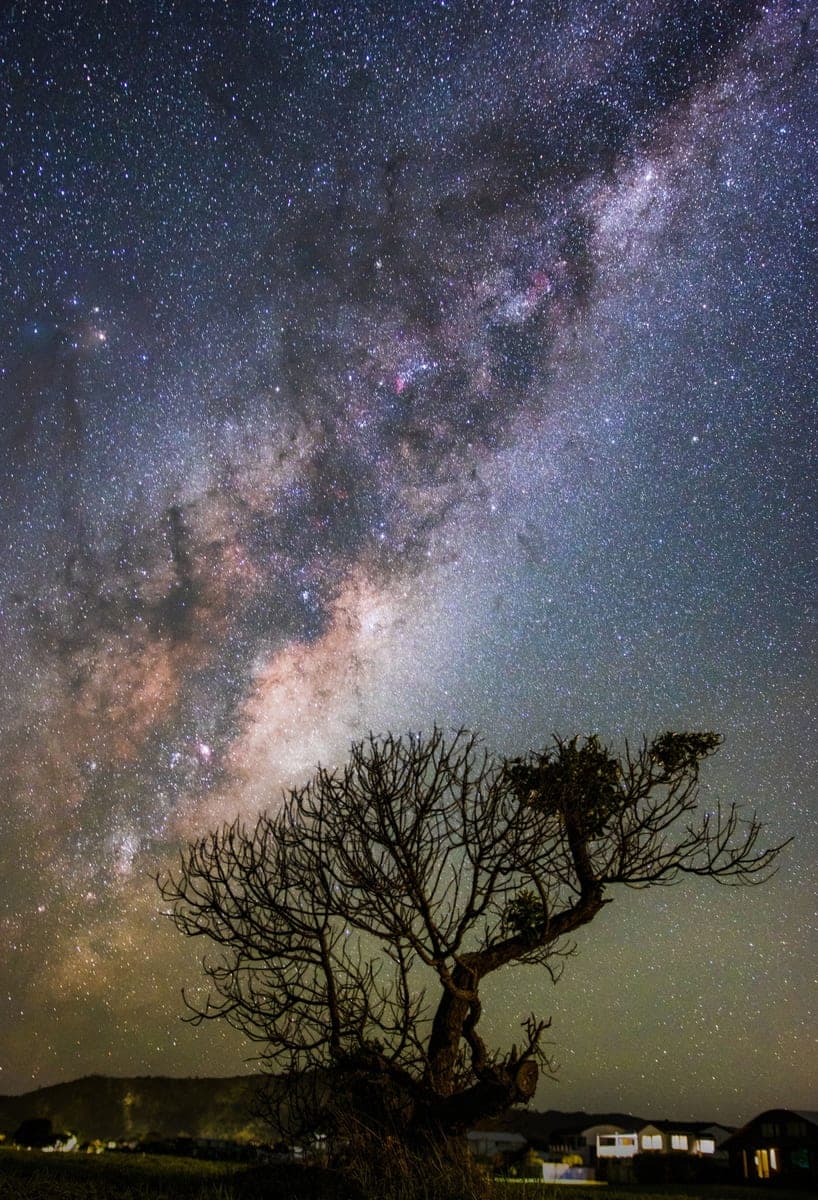 Lone tree under stars